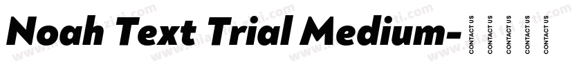 Noah Text Trial Medium字体转换